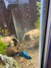 IMG-20201209-WA0008.jpg