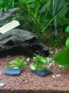0_IMG-20210130-WA0001.jpg