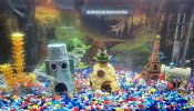 Acuario.jpg