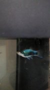 Videoframe_20210218_151248_com.huawei.himovie.overseas.jpg
