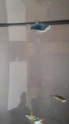 Videoframe_20210218_145838_com.huawei.himovie.overseas.jpg