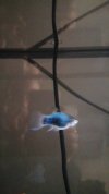 Videoframe_20210218_145830_com.huawei.himovie.overseas.jpg