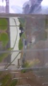 IMG-20210302-WA0107.jpeg