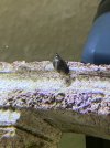 A23CBC09-4139-4706-91E4-ADBB607DDD64.jpeg
