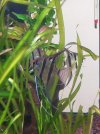 IMG_20210315_114348.jpg