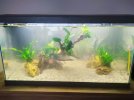 acuario piluquilla ciclando.jpg