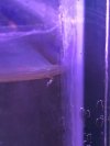 B0074EE7-B65E-42A7-B2BD-A1CA35CCB0D1.jpeg
