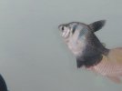 IMG_20210617_100344771.jpg