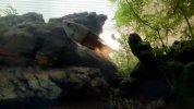 VideoCapture_20210726-175252.jpg