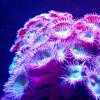 VDmDR-eam4auk23e7554u6zedxsb6r.jpg