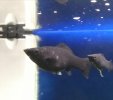 IMG_20211011_180223.jpg