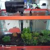 30548_d247bfdf38c36c6e8467bc57cd1480cd.jpg