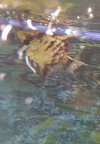 IMG20211105103239~2.jpg