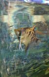 IMG20211105102241~2.jpg