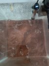 IMG-20220314-WA0013.jpg