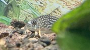 7E2CC20D-09B8-4575-93F8-D572CEC06DB1.jpeg
