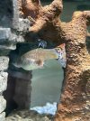 IMG-9339.jpg