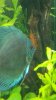 IMG-20160710-WA0018.jpg
