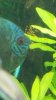 IMG-20160721-WA0027.jpg
