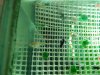 IMG-20161003-WA0002.jpg