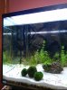 IMG_20161017_220516_redimensionar.jpg
