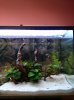 IMG_20161017_220525_redimensionar.jpg