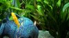 WP_20161122_21_20_19_Pro.jpg