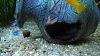 WP_20161122_21_20_44_Pro.jpg