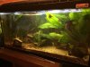 IMG-20161127-WA0001.jpg