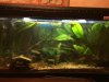 IMG-20161127-WA0002.jpg