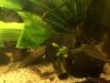 IMG-20161127-WA0004.jpg