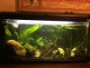 IMG-20161127-WA0005.jpg