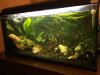 IMG-20161127-WA0007.jpg