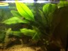 IMG-20161127-WA0008.jpg