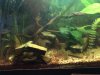 IMG-20161127-WA0010.jpg