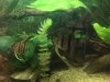 IMG-20161127-WA0012.jpg