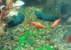 20161226_105647.jpg