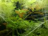 IMG-20170109-WA0047.jpg