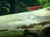 IMG-20170109-WA0038.jpg