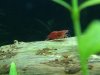 IMG-20170109-WA0033.jpg