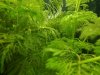 IMG-20170109-WA0031.jpg