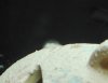 IMG_20170110_193958.jpg