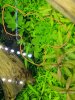 IMG-20170111-WA0027.jpg