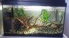 IMG-20170124-WA0003.jpg