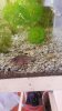 IMG-20170130-WA0004.jpg