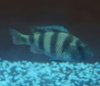 20170205_015550.jpg