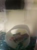 20170211_211400.jpg