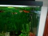IMG-20170122-WA0002.jpg