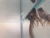 20170228_142609.jpg