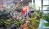20170228_133329.jpg